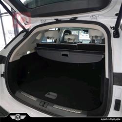 جیتۆر داشينگ